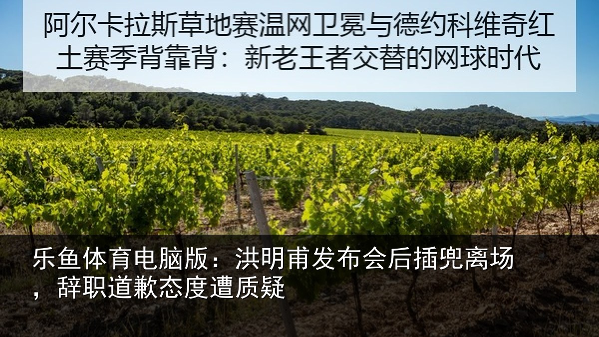 乐鱼体育电脑版:洪明甫发布会后插兜离场,辞职道歉态度遭质疑